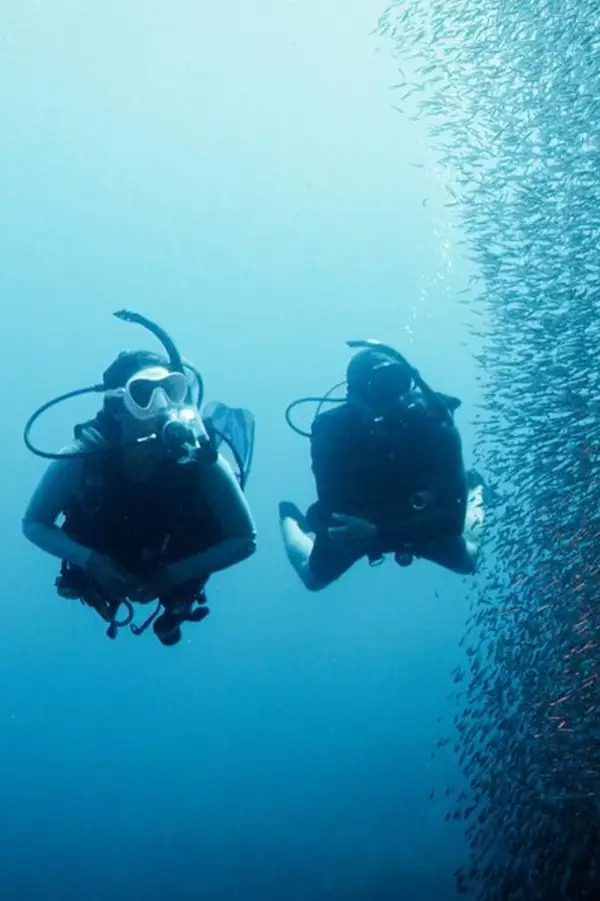 two scuba divers swim towards the camera, side by side, they look to their left where the is a large school of small fishes