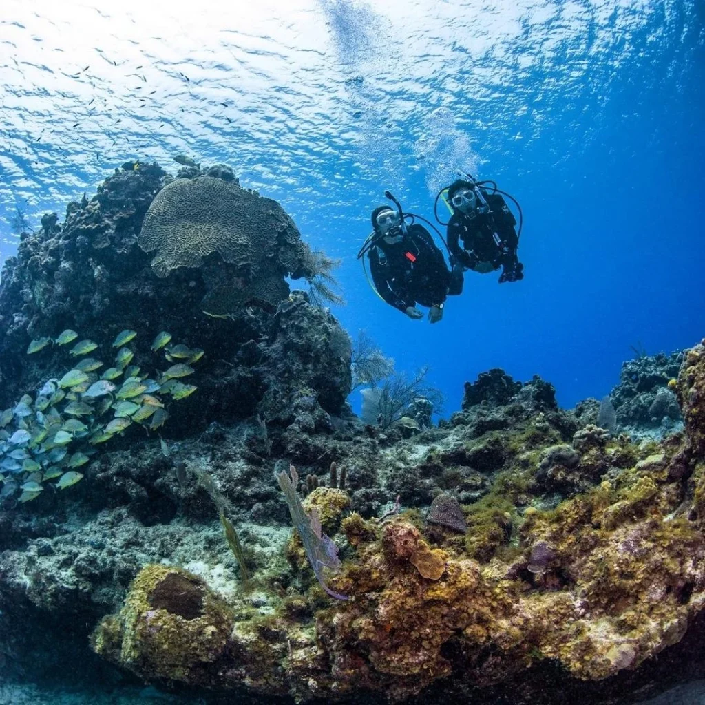 two scuba divers in clear water swimming over coral reef