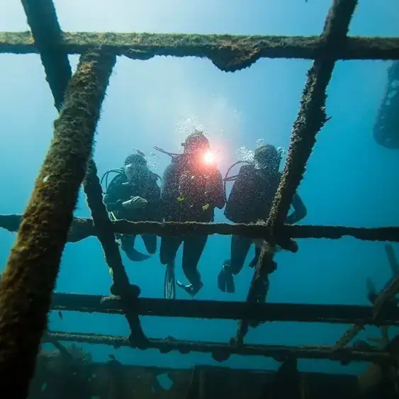 seen from below, three divers swimming together in a line abreast, the one in a centre has a flashlight. they are looking down through a grid of metal probably part of a shipwreck