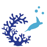 Reef Conservation Course