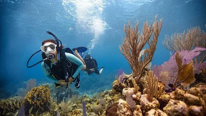 a couple of people scuba diving under water over a sea bed of corals, sand and rocks