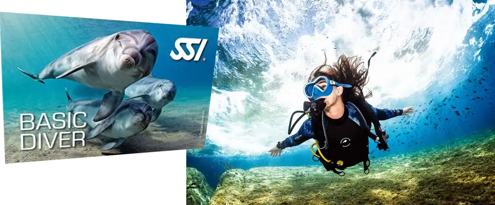 decorative banner for the SSI Basic Diver course