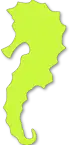 Local diving seahorse icon sm