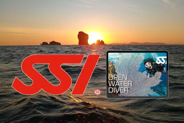 Ssi digital learning 